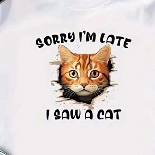 Vinyl heat transfer sticker – "Sorry I'm late I saw a cat"