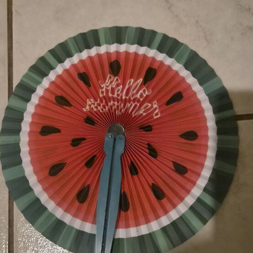 Watermelon hand fan like new