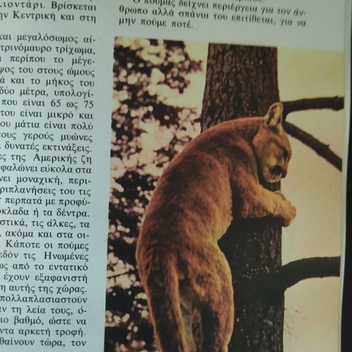 The Wonders of the Animal World like new