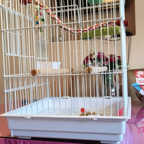 Birdcage white with two feeders and one separate waterer like new