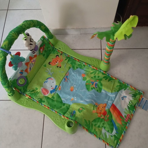 Fisher Price Baby Gym like new