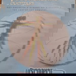  Μυοσκελετικο σύστημα..Ταινία