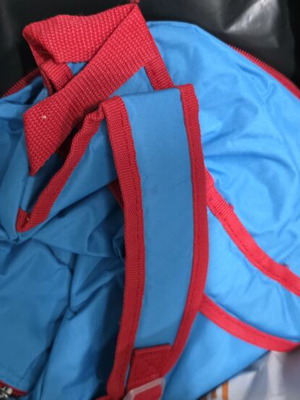 McQueen backpack used