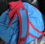 McQueen backpack used