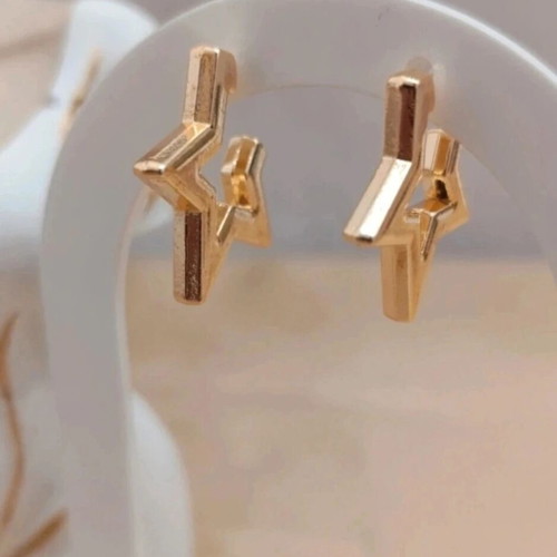 Gold Star Earrings new