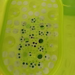 Sterilizer device like new, barely used