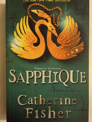Sapphique book by Catherine Fisher like new, English