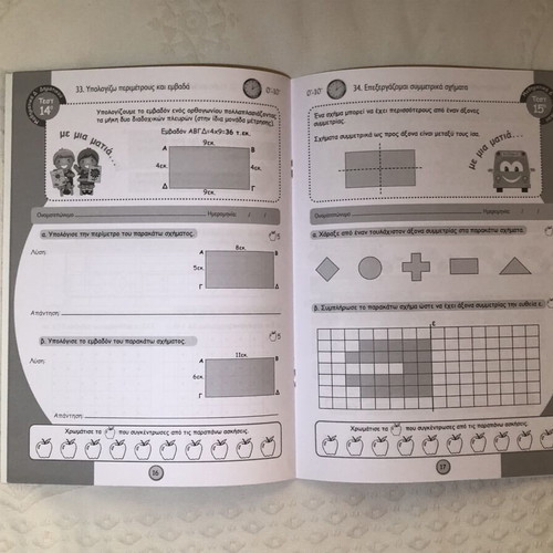Quick Tests Mathematics 4th Grade textbook like new