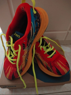 Asics athletic shoes used, size 39.5, multicolor