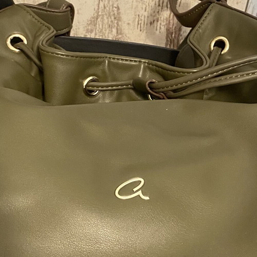 Axel Olive Green Bucket Shoulder Bag New with Gold Details
