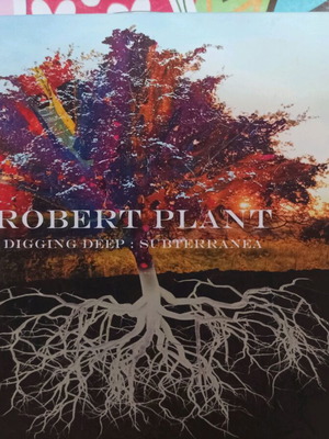 Robert Plant Best of double CD new, rock