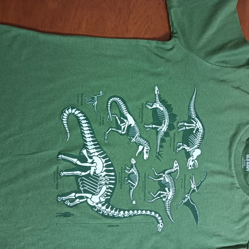 Old Navy short sleeve T-shirt for boys 14-16 used, green