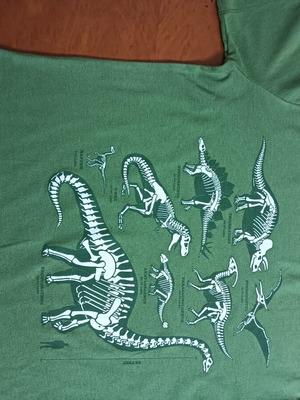 Old Navy short sleeve T-shirt for boys 14-16 used, green