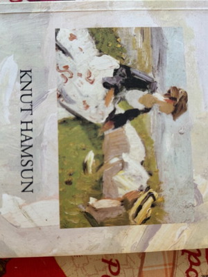 Victoria Hamsun romantic novel used