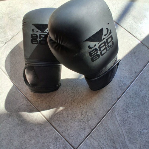 Bad Boy boxing gloves like new