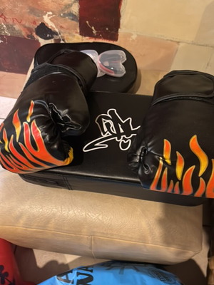 Boxing gloves used
