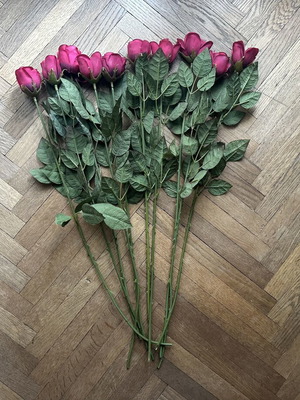 Decorative roses like new, pack of 10, 65 cm