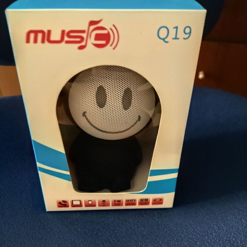 Portable wireless Bluetooth speaker new with USB, FM radio, MP3