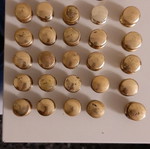 Brass drawer and wardrobe knobs used