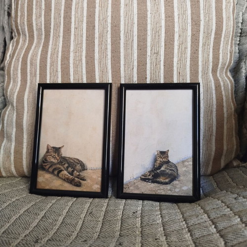 Set of 2 Tiger Cat Prints 10x15 with Black Frame
