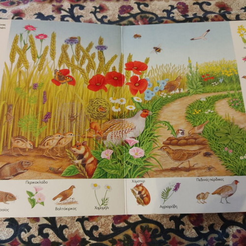 Illustrated Dictionary "Our Nature" Patakis used, hardcover children's book