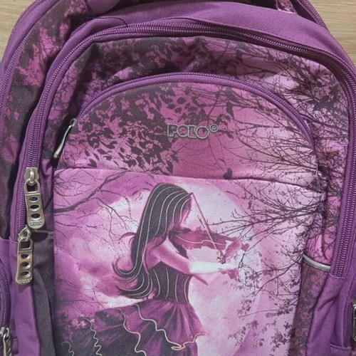Polo school backpack used with many compartments and comfortable back