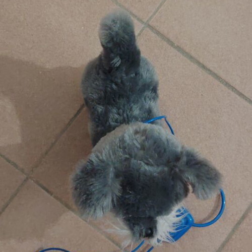 Walking and barking toy dog like new, battery operated