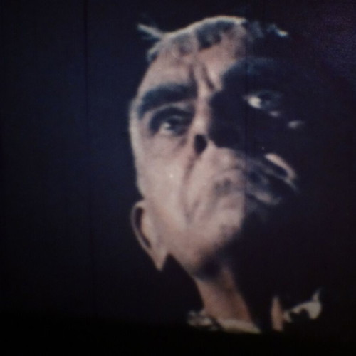 The Raven horror movie Super 8mm color used with sound