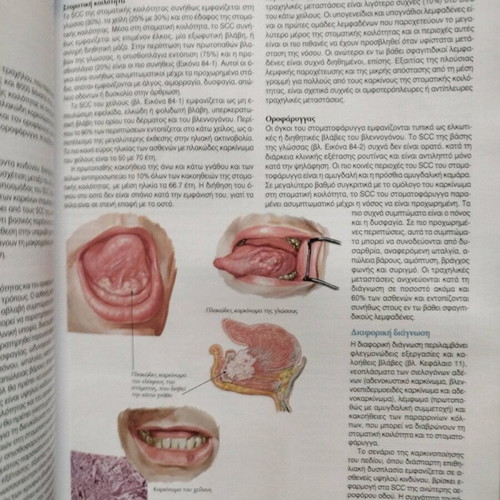 Pathology Basic Principles book new without notes