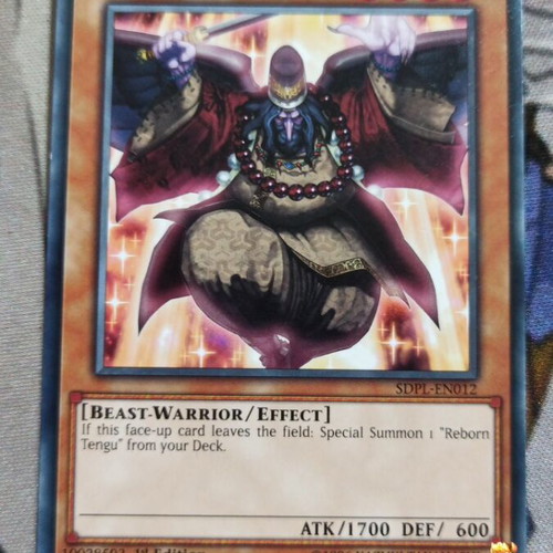 Reborn Tengu Effect Monster like new