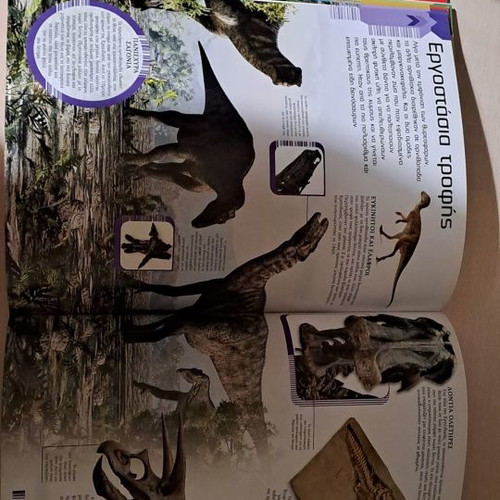 Educational book with dinosaurs like new, hardcover
