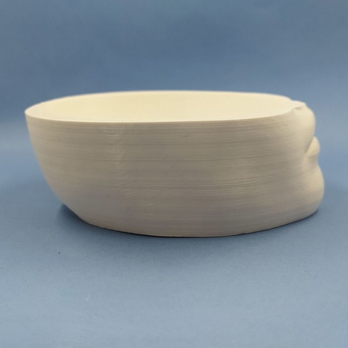 3D Printed Female Face Planter New