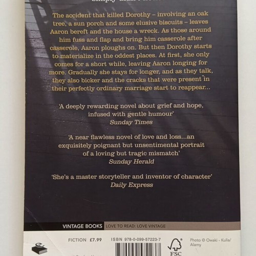The Beginner's Goodbye by Anne Tyler