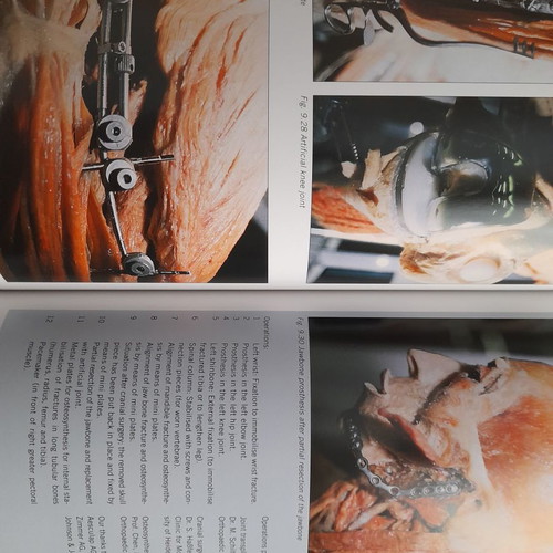 Körperwelten - Fascination Beneath the Surface used exhibition catalogue book