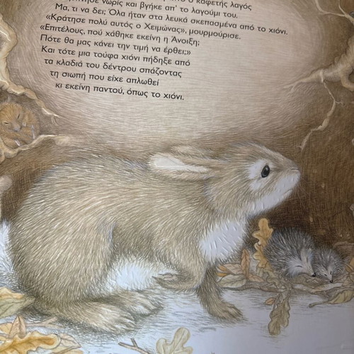 The Winter Walk of the Hare book like new