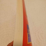 Delf A2 Roboli Editions new without CD
