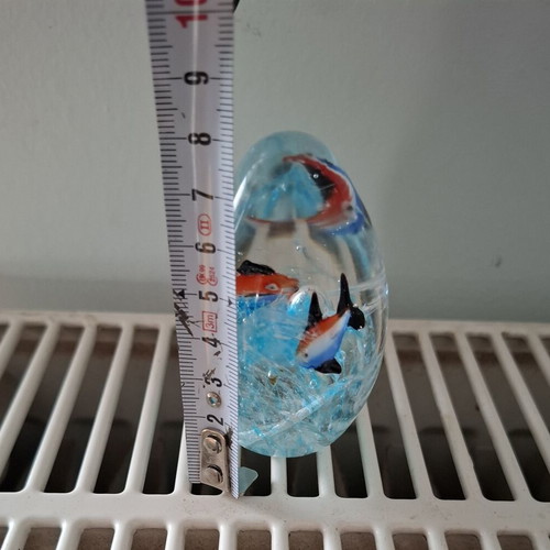 Art Glass Paperweight Clear Glass Egg with Ocean Scene and Fish used