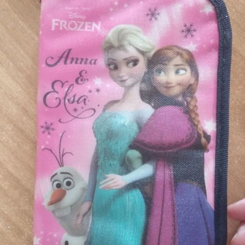 Frozen pencil case used, large school
