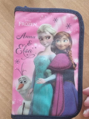 Frozen pencil case used, large school