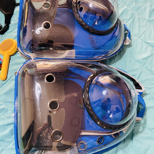 Complete cat accessories set with astronaut backpacks and toys