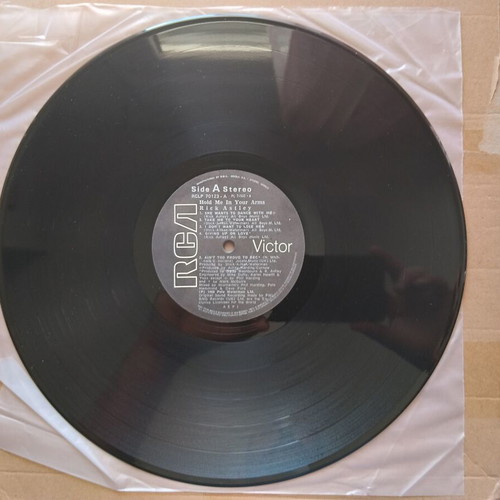 Rick Astley Hold Me In Your Arms LP like new, electronic