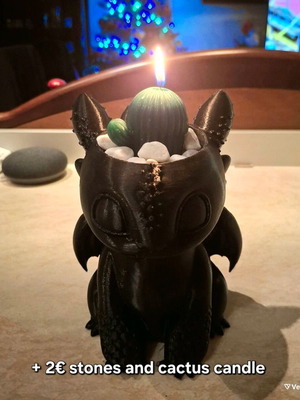 Fury Toothless figure γλάστρακι κατόπιν παραγγελίας