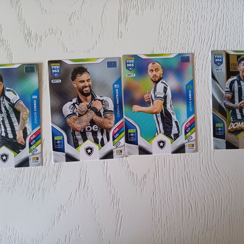 Adrenalyn XL 2026 10 Panini Botafogo cards like new