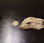 Agate rock new