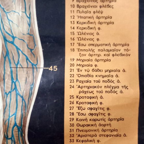 School Natural History Map like new, 82.5×62.5 cm