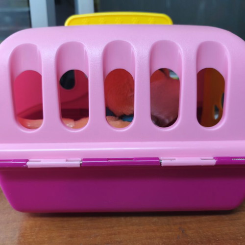 Fur Real Walkalots Peach Kitty Cat used with carrier