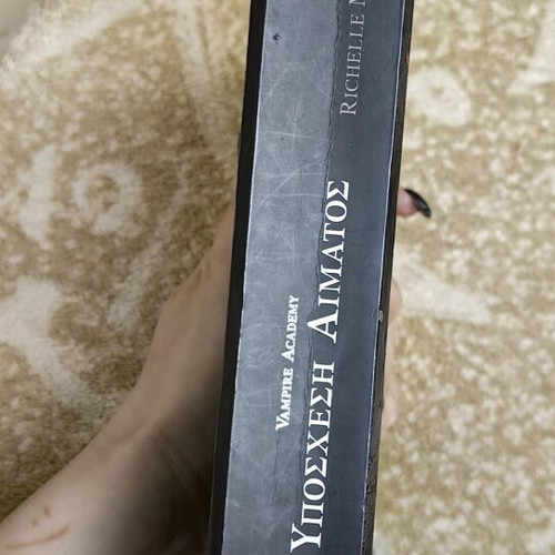 Blood Promise book like new