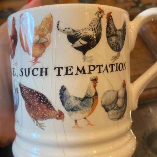 Britain cup used with chickens design