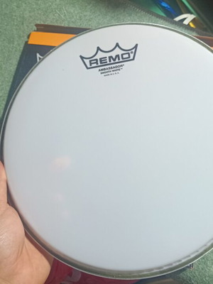 Remo Ambassador 10 Coated Smooth White drumhead new