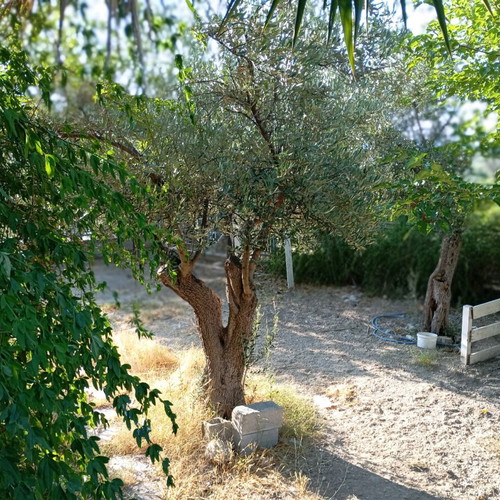 Apartment ground floor 145 sqm with garden and parking in Argolida